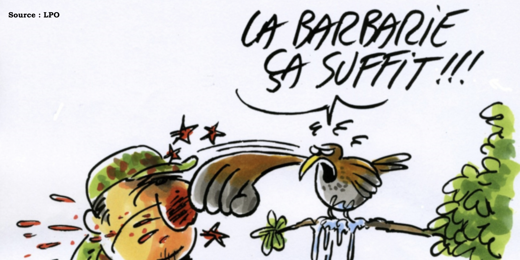 Lire la suite à propos de l’article La chasse à la glu déclarée illégale par le Conseil d&rsquo;Etat