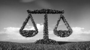 « GOOGLE EARTH » ET PRINCIPE DU CONTRADICTOIRE