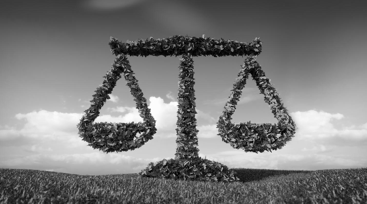 Dorothée Mandile - avocat - Bayonne