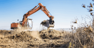 PERMIS DE CONSTRUIRE ET ESPECES PROTEGEES